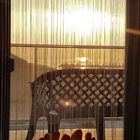 Apartament Andy Mamaia Nord 30 M De Plaja Năvodari Eksteriør bilde