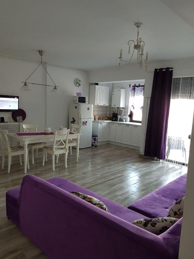 Apartament Andy Mamaia Nord 30 M De Plaja Năvodari Eksteriør bilde